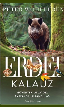 Wohlleben, Peter: Erdei kalauz - Növények, állatok, évszakok, kirándulás