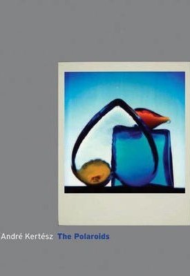 The Polaroids - André Kertész