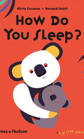  Cosneau, Olivia - Duisit, Bernard: How Do You Sleep? (Flip Flap Pop-up)