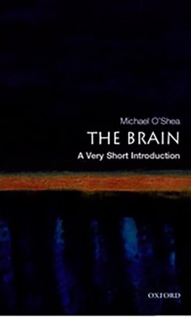 O`Shea, Michael: The Brain - A Very Short Introduction