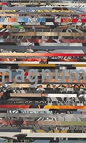 Ignatieff, Michael: Magnum Degrees