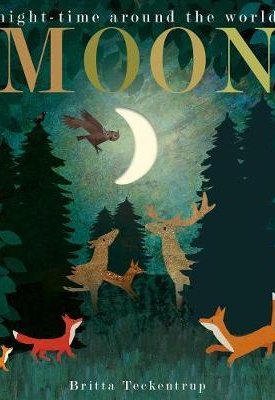 Teckentrup, Britta: Moon : night-time around the world