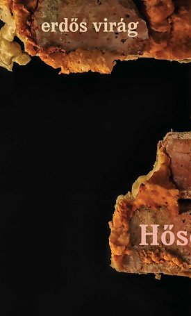 Erdős Virág: Hősöm