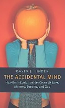 Linden, David J.: Accidental Mind, The - How Brain Evolution Has Given Us Love, Memory, Dreams, and God  