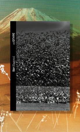 Zagyvai Sári: aiOTYPE