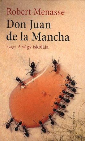 Menasse, Robert: Don Juan de la Mancha, avagy A vágy iskolája
