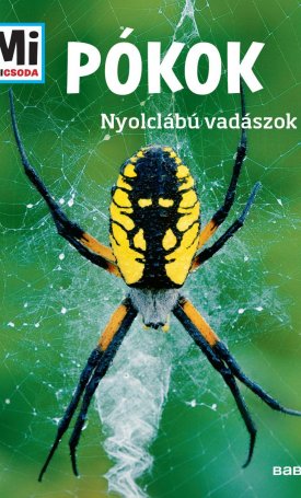 Rigos, Alexandra: Mi MICSODA Pókok - Nyolclábú vadászok