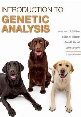 Griffiths, Anthony J. F., Wessler, Susan R., Carroll, Sean B., Doebley, John: Introduction to Genetic Analysis