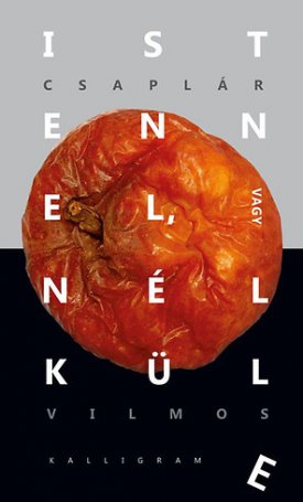 Csaplár Vilmos: Istennel, vagy nélküle - Gondolatok a reflektív evolúcióról