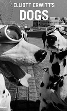 Erwitt, Elliott: Elliott Erwitt`s Dogs