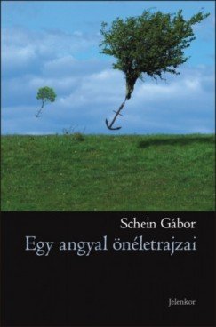 Schein Gábor: Egy angyal önéletrajzai