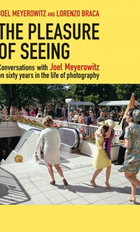 The Pleasures seeing: The Conversations with Joel Meyerowitz on Sixty Years in the Life of Photography