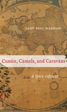 Cumin, Camels, and Caravans - A Spice Odyssey