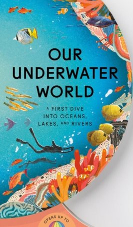 Gallion, Sue Lowell, Feng, Lisk: Our Underwater World : A First Dive into Oceans, Lakes, and Rivers