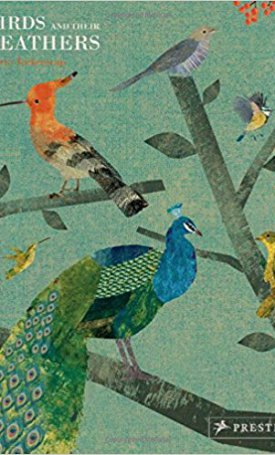 Teckentrup, Britta: Birds and Their Feathers