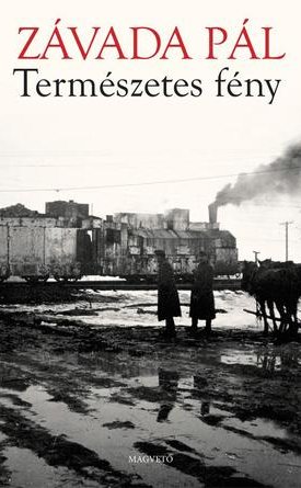 Závada Pál: Természetes fény