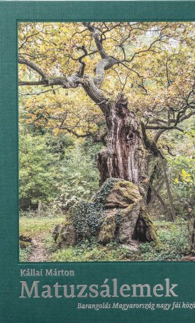 Kállai Márton: Matuzsálemek - Barangolás Magyarország nagy fái között